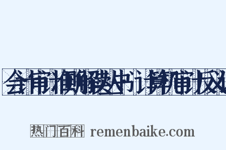 会计审计准则解读丛书·计算机审计反义词是什么意思的图片